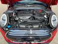 MINI Cooper Cabrio "SPORTPAKET"+Teil-LEDER+17"Alu+NAVI+LED +Alle INSP Rot - thumbnail 24