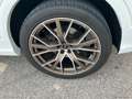 Audi Q8 50 TDI 286 CV QUATTRO S-LINE Bianco - thumbnail 12
