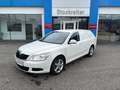 Skoda Octavia Kombi 1,6 TDI*LKW Zulassung*neues Pickerl* Blanc - thumbnail 1