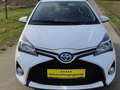 Toyota Yaris Life Hybrid - thumbnail 1