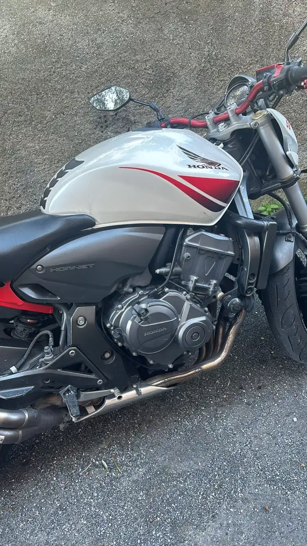 Honda Hornet sport - 2