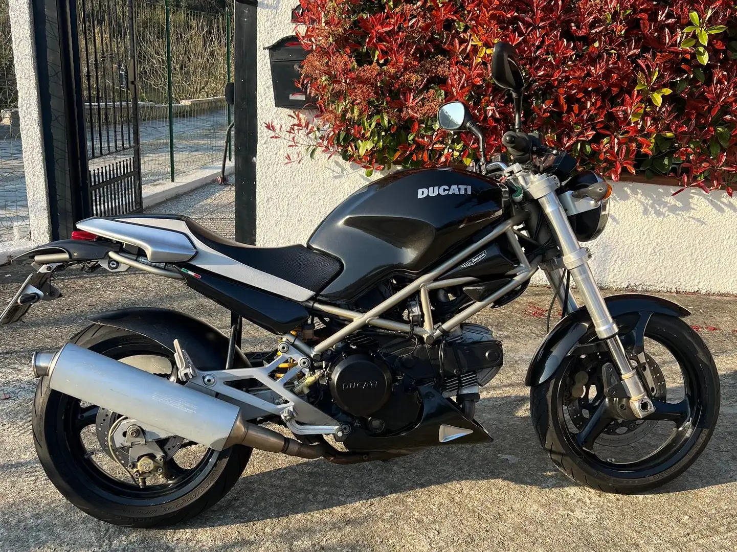Ducati Monster 600 Carburatori Negro - 1
