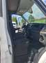 Ford Transit 2.0 TDCi 130cv L4H3 ISOTERMICO COIBENTATO Weiß - thumbnail 13