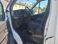 Ford Transit 2.0 TDCi 130cv L4H3 ISOTERMICO COIBENTATO Weiß - thumbnail 4