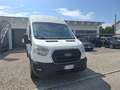Ford Transit 2.0 TDCi 130cv L4H3 ISOTERMICO COIBENTATO Weiß - thumbnail 18