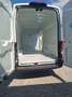 Ford Transit 2.0 TDCi 130cv L4H3 ISOTERMICO COIBENTATO Weiß - thumbnail 10