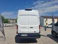 Ford Transit 2.0 TDCi 130cv L4H3 ISOTERMICO COIBENTATO Weiß - thumbnail 5