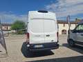 Ford Transit 2.0 TDCi 130cv L4H3 ISOTERMICO COIBENTATO Weiß - thumbnail 16