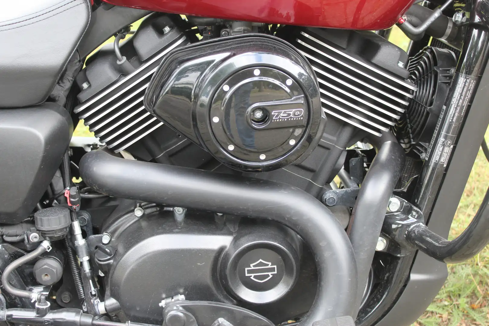 Harley-Davidson Street 750 Roşu - 2