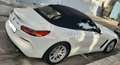 BMW Z4 Z4 sdrive 20i Advantage auto Bianco - thumbnail 2