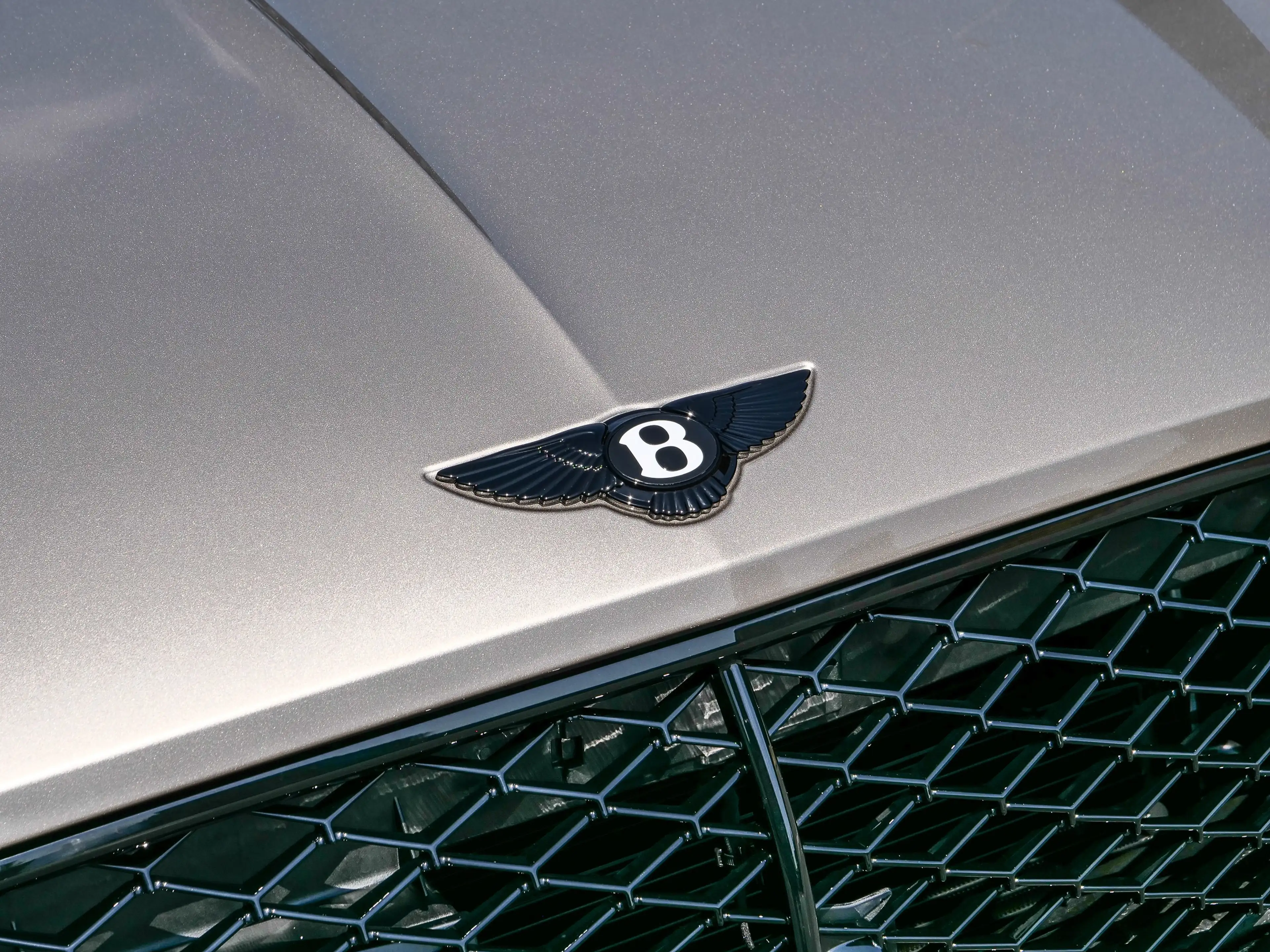 Bentley Continetal GT S Leather Spec., Sports Pedals — photo 12