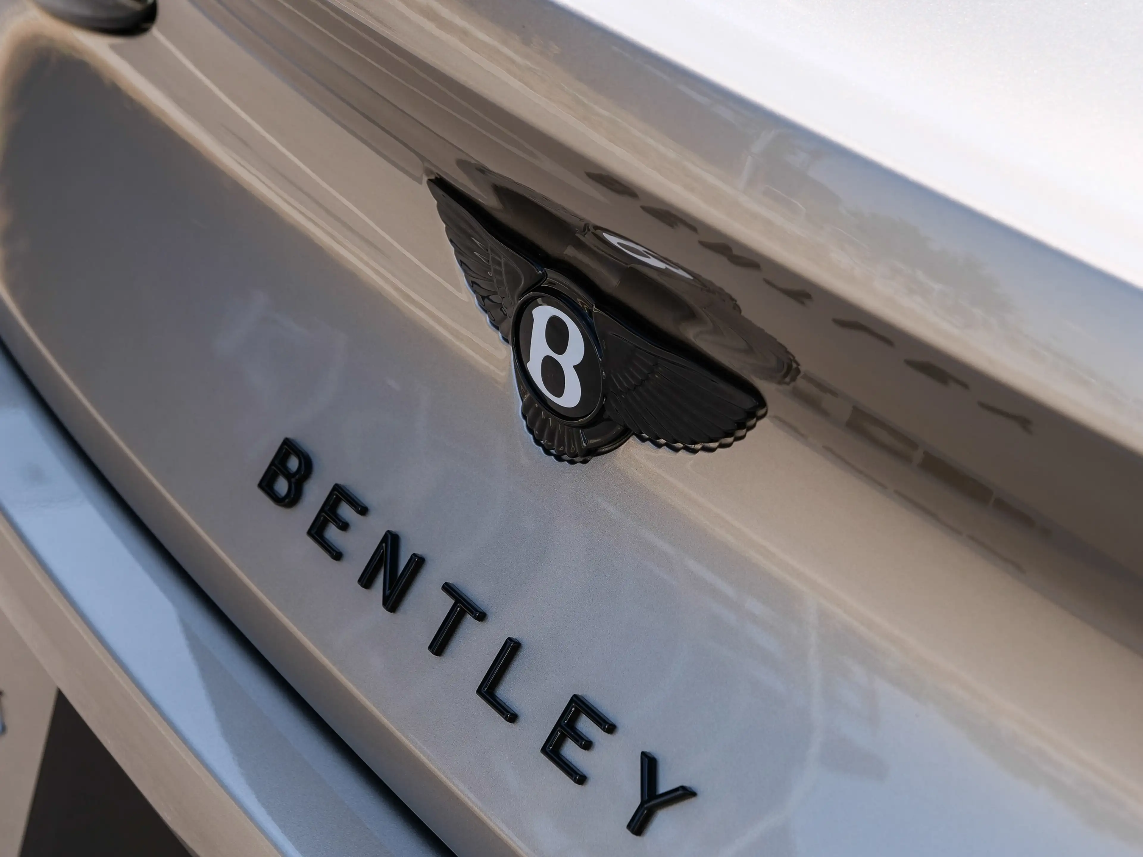 Bentley Continetal GT S Leather Spec., Sports Pedals — photo 10