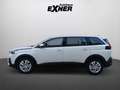 Peugeot 5008 1.2 PureTech 130 ACTIVE Navi+Sitzheizung+LM Weiß - thumbnail 7
