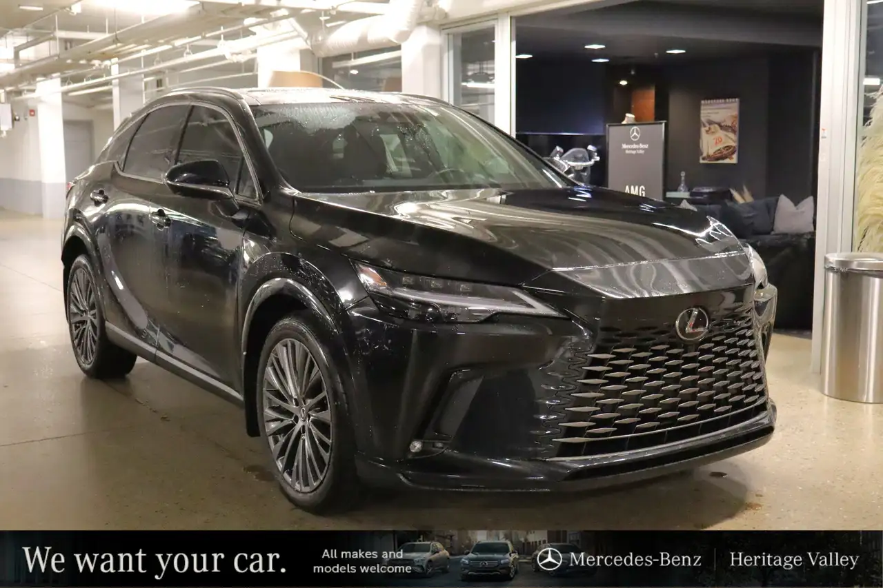 2024 Lexus RX