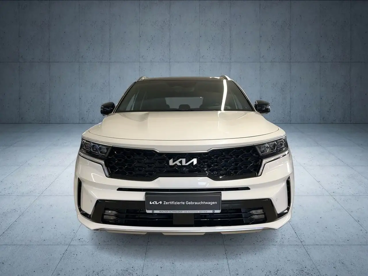 Kia Sorento 2.2 CRDI 4WD Platinum Navi Leder Pano Hu 10