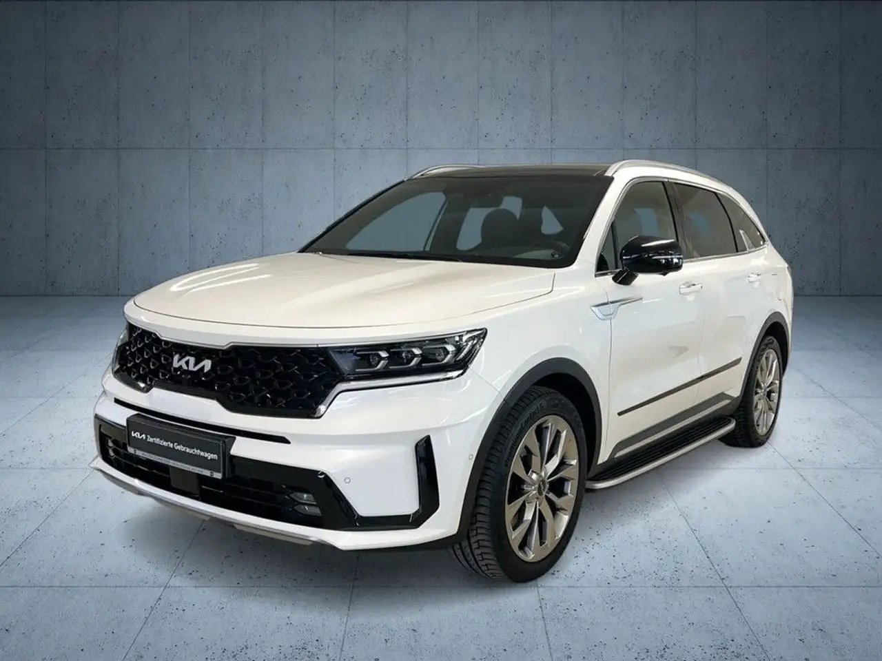 Kia Sorento 2.2 CRDI 4WD Platinum Navi Leder Pano Hu 2