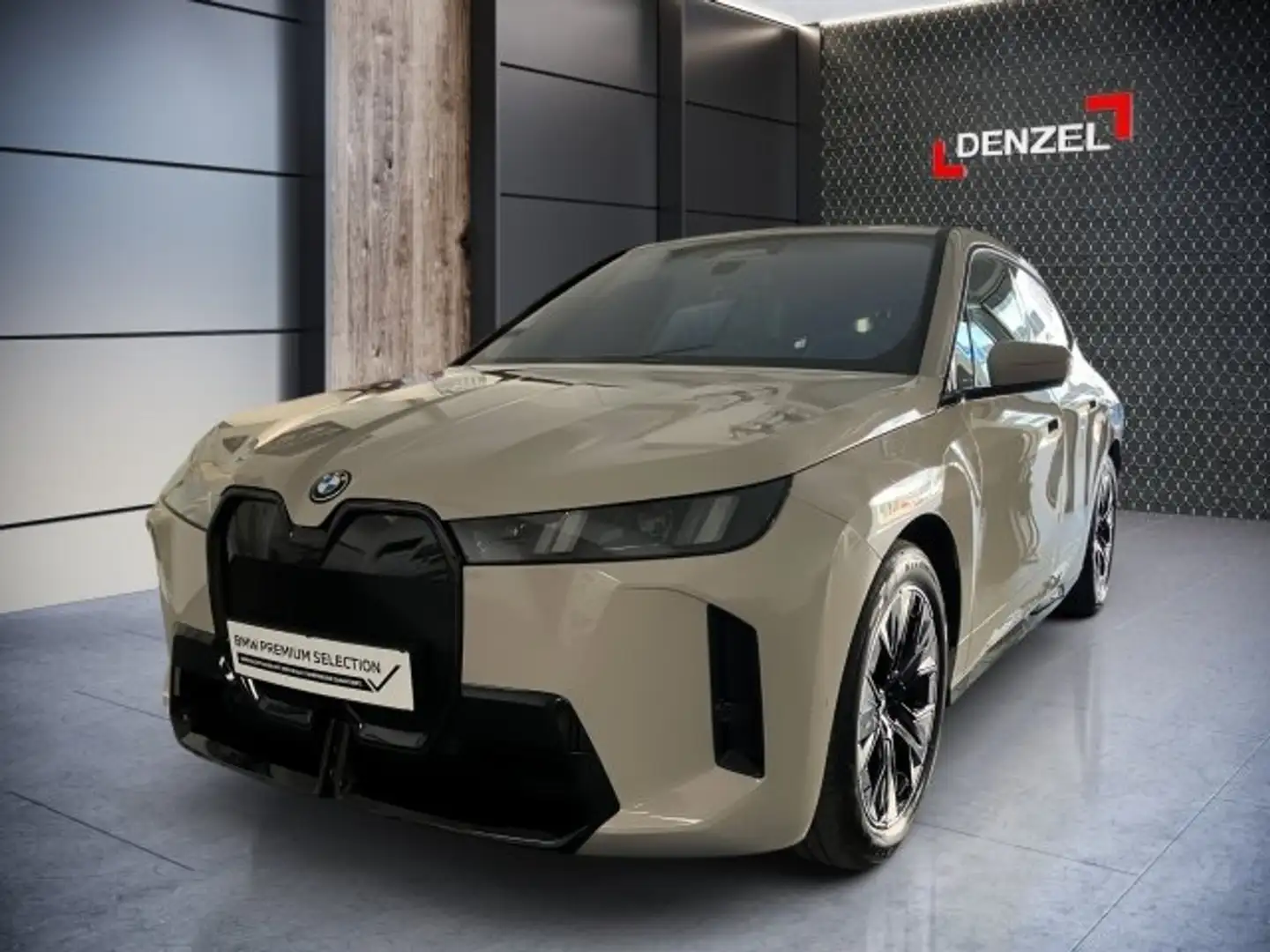 BMW iX xDrive45 Grau - 2