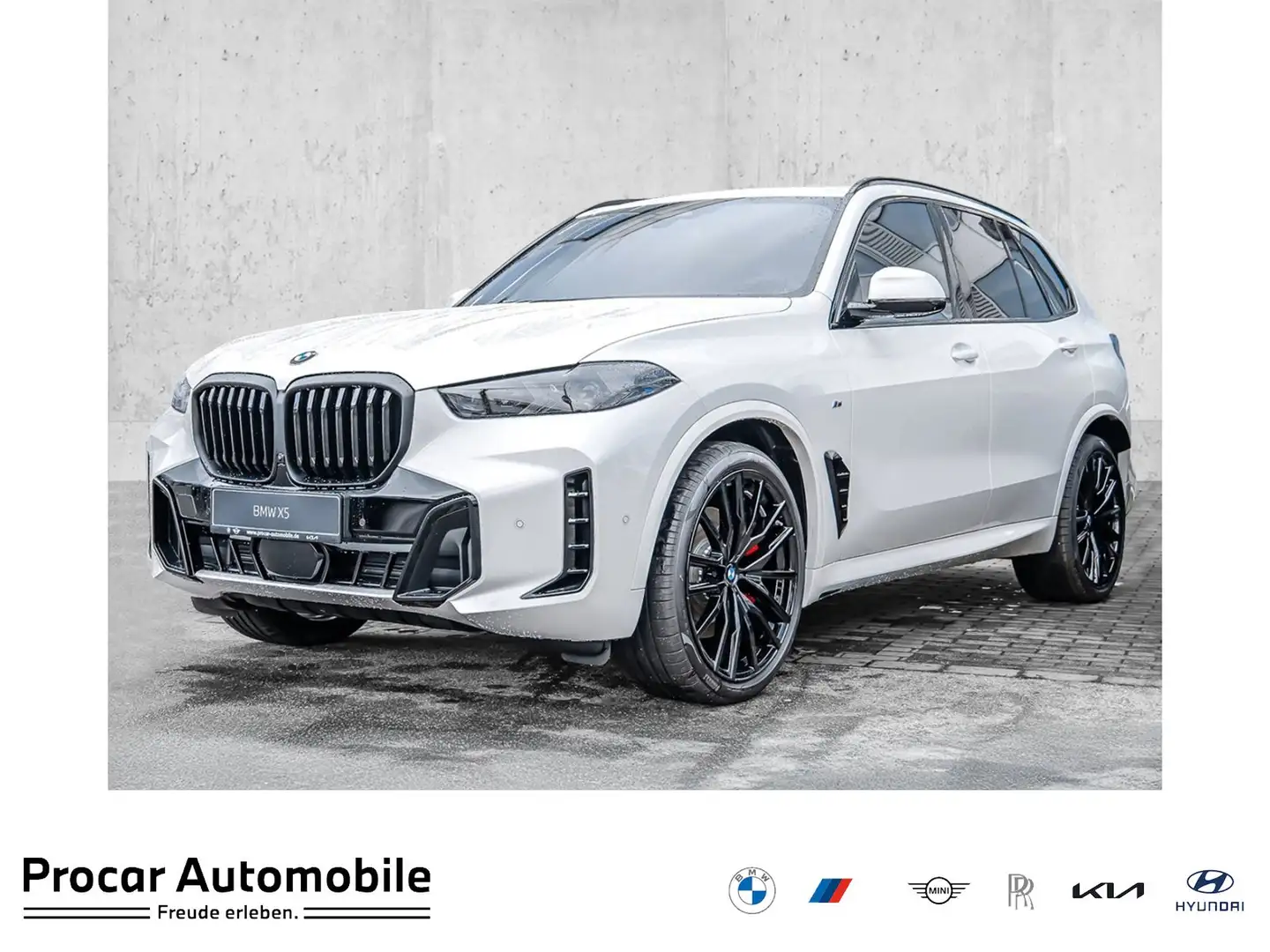 BMW X5 xDrive40d MSportPro Pano HuD H/K AHK DA Prof Weiß - 1