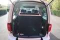 Volkswagen Caddy Maxi 2,0 TDI*rollstuhlgerecht*Flexrampe*AMF-Bruns* Weiß - thumbnail 10