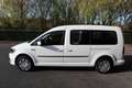 Volkswagen Caddy Maxi 2,0 TDI*rollstuhlgerecht*Flexrampe*AMF-Bruns* Weiß - thumbnail 5