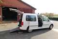 Volkswagen Caddy Maxi 2,0 TDI*rollstuhlgerecht*Flexrampe*AMF-Bruns* Weiß - thumbnail 8
