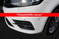Volkswagen Caddy Maxi 2,0 TDI*rollstuhlgerecht*Flexrampe*AMF-Bruns* Weiß - thumbnail 20