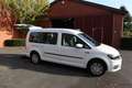 Volkswagen Caddy Maxi 2,0 TDI*rollstuhlgerecht*Flexrampe*AMF-Bruns* Weiß - thumbnail 7