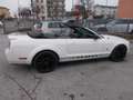 Ford Mustang Mustang Convertible 4.0 V6 213cv automatica Blanc - thumbnail 9