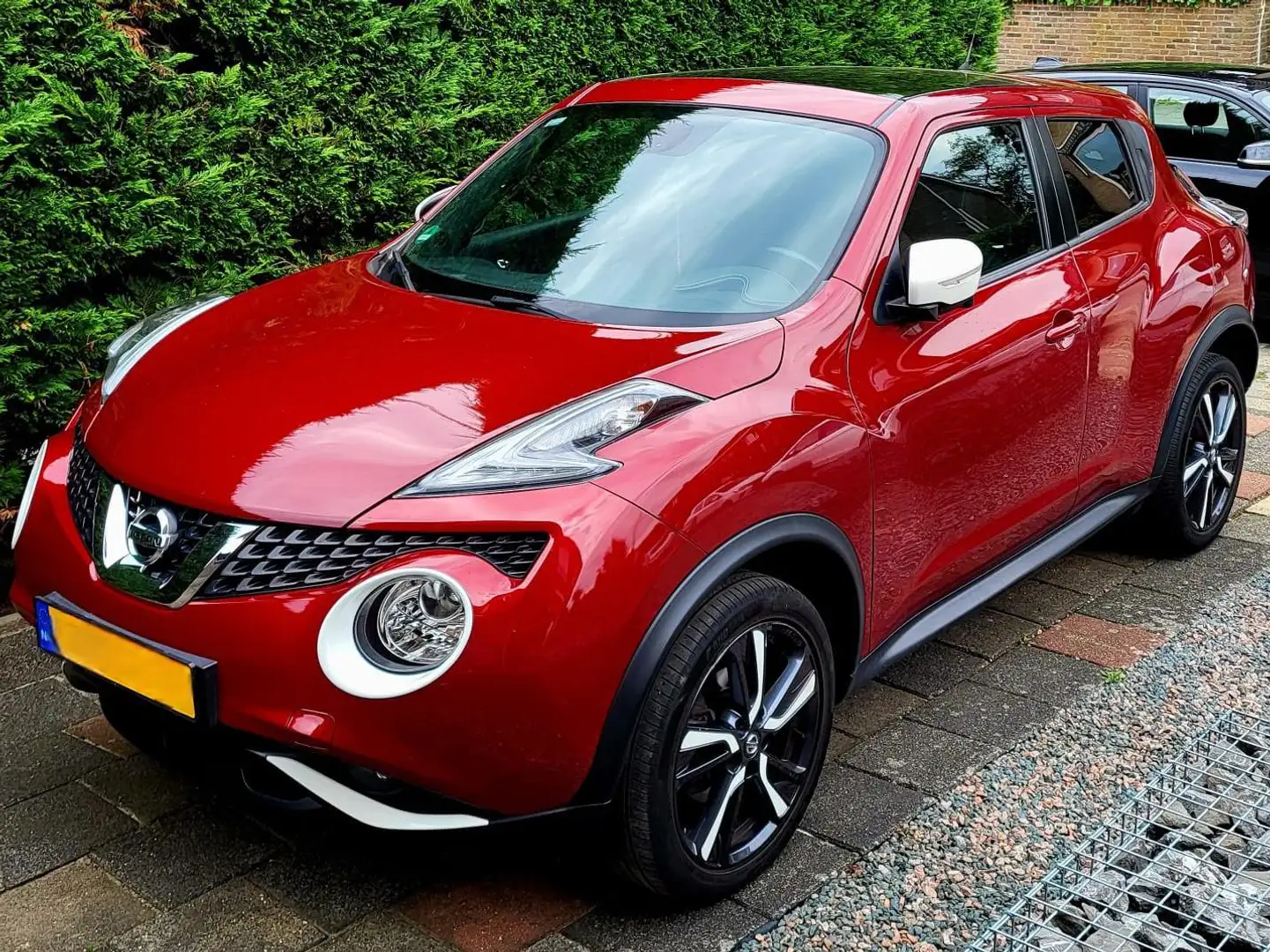 Nissan Juke Juke 1.2 DIG-T S/S Tekna Roşu - 1