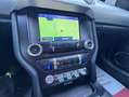 Ford Mustang 5,0 GT Bleu - thumbnail 22