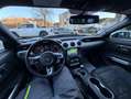 Ford Mustang 5,0 GT Bleu - thumbnail 20