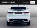 Jaguar E-Pace P160 R-DYNAMIC SE ACC LED Weiß - thumbnail 8