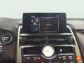 Lexus NX 300 300h Premium 2WD Negro - thumbnail 17