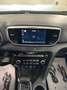Kia Sportage Sportage 2.0 CRDI 185 CV AT8 AWD Mild Hybrid 48V G Rot - thumbnail 17