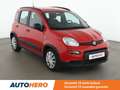 Fiat Panda 1.0 Mild-Hybrid City Life Rouge - thumbnail 23