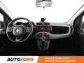 Fiat Panda 1.0 Mild-Hybrid City Life Rouge - thumbnail 14