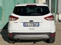 Ford Kuga 2.0 tdci Titanium 4wd 163cv auto - thumbnail 5