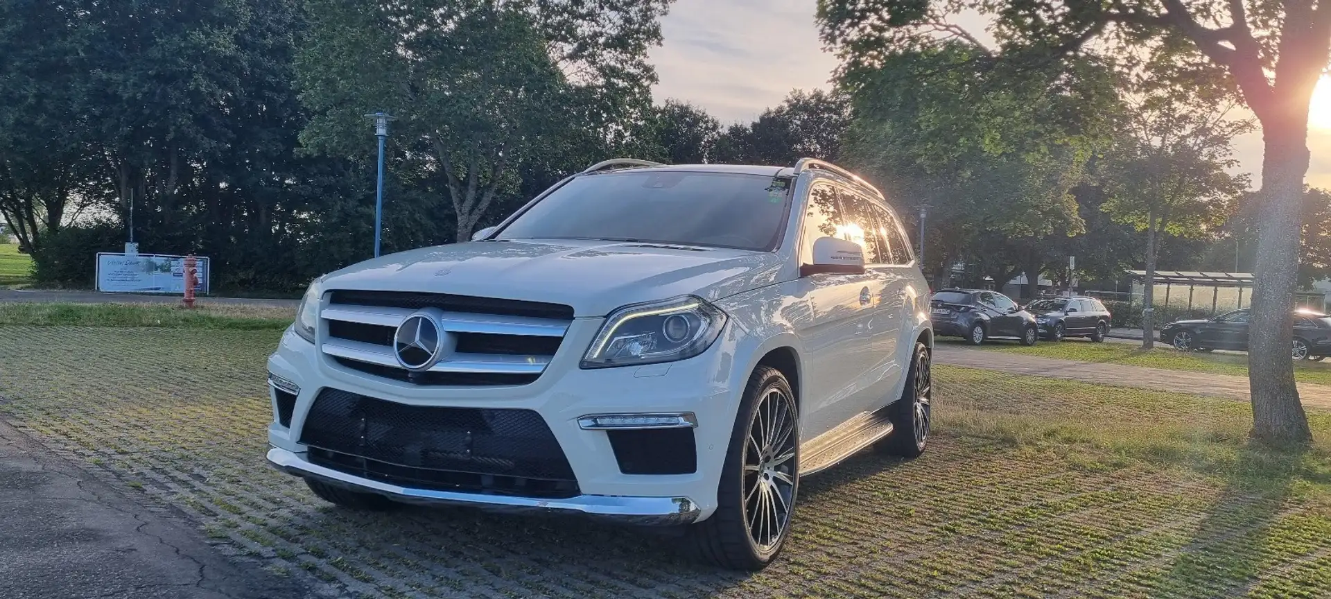 Mercedes-Benz GL 350 GL 350 BlueTec 4Matic (166.824) Blanc - 1
