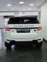 Land Rover Range Rover Evoque Range Rover Evoque 2.2 TD4 5p. Prestige Bianco - thumbnail 7