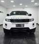 Land Rover Range Rover Evoque Range Rover Evoque 2.2 TD4 5p. Prestige Bianco - thumbnail 3