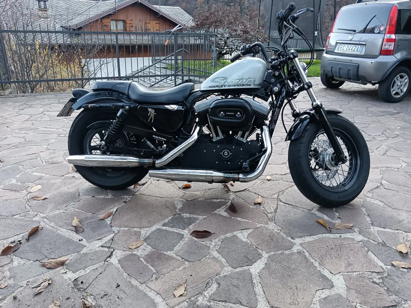 Harley-Davidson Sportster Forty Eight 1202 cc Серый - 2