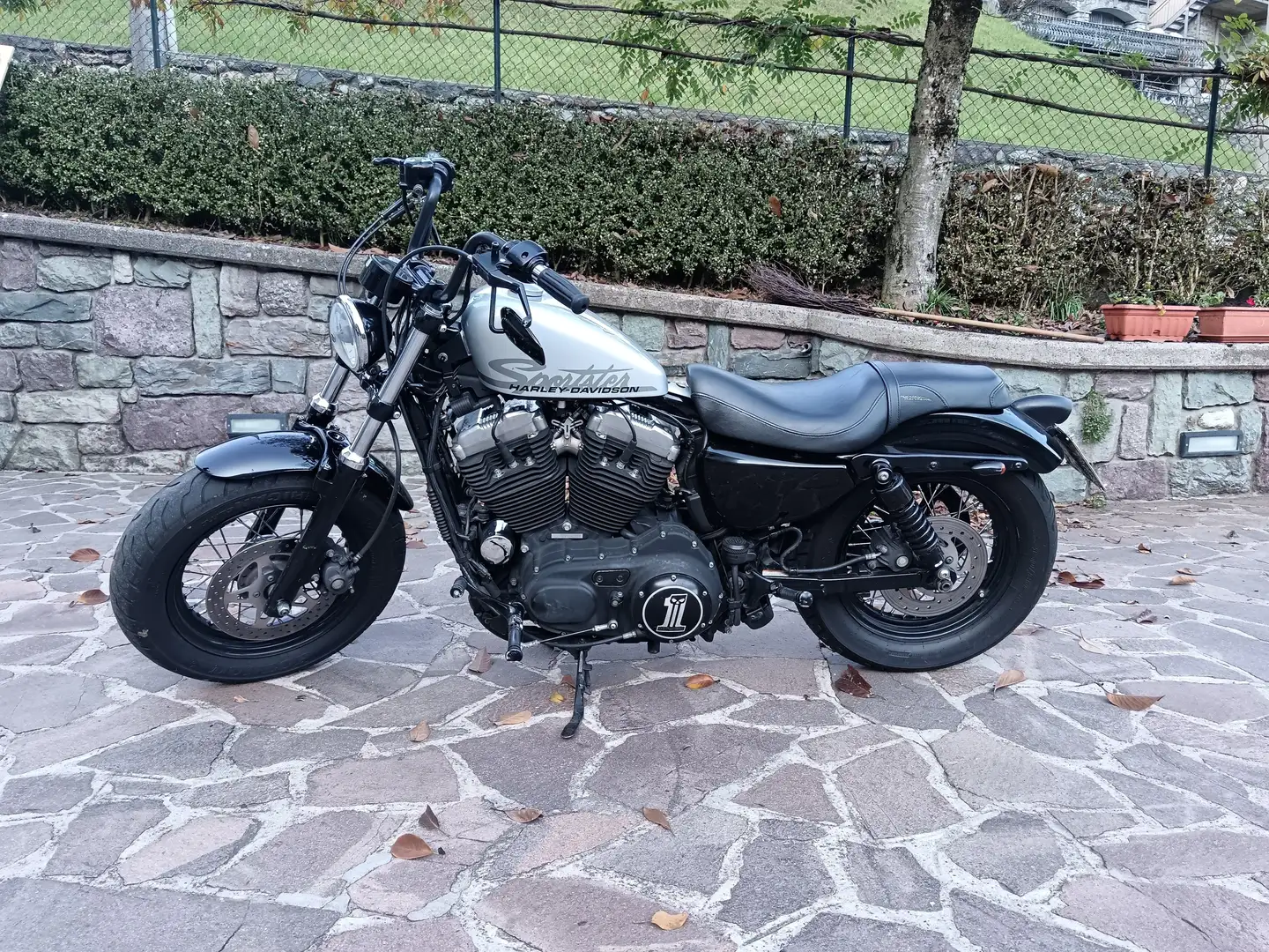 Harley-Davidson Sportster Forty Eight 1202 cc Серый - 1