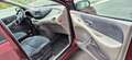 Nissan Almera Tino Basis Rot - thumbnail 9