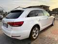 Audi A4 A4 Avant 2.0 TDI 150 CV ultra S tronic Sport Bianco - thumbnail 7
