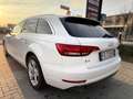 Audi A4 A4 Avant 2.0 TDI 150 CV ultra S tronic Sport Bianco - thumbnail 5