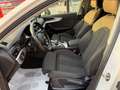 Audi A4 A4 Avant 2.0 TDI 150 CV ultra S tronic Sport Bianco - thumbnail 10