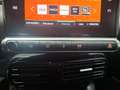 Citroen C4 Cactus 1.5BlueHDi S&S Shine 100 Gris - thumbnail 29