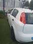Fiat Punto Punto III 2012 5p 1.2 Street E6 - thumbnail 2