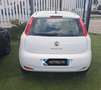 Fiat Punto Punto III 2012 5p 1.2 Street E6 - thumbnail 4