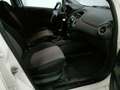 Fiat Punto Punto III 2012 5p 1.2 Street E6 - thumbnail 16